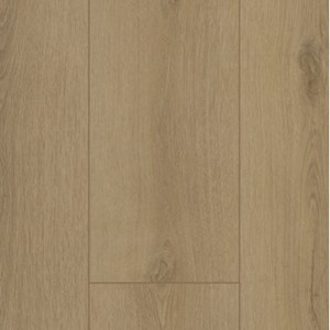 Gelasta Firmfit 6501 Sierra Beige