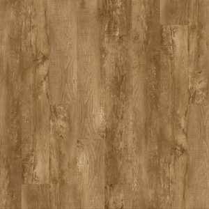 Moduleo Transform Country Oak 24432